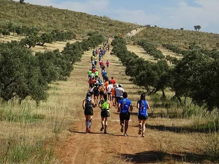 trial finca la torre